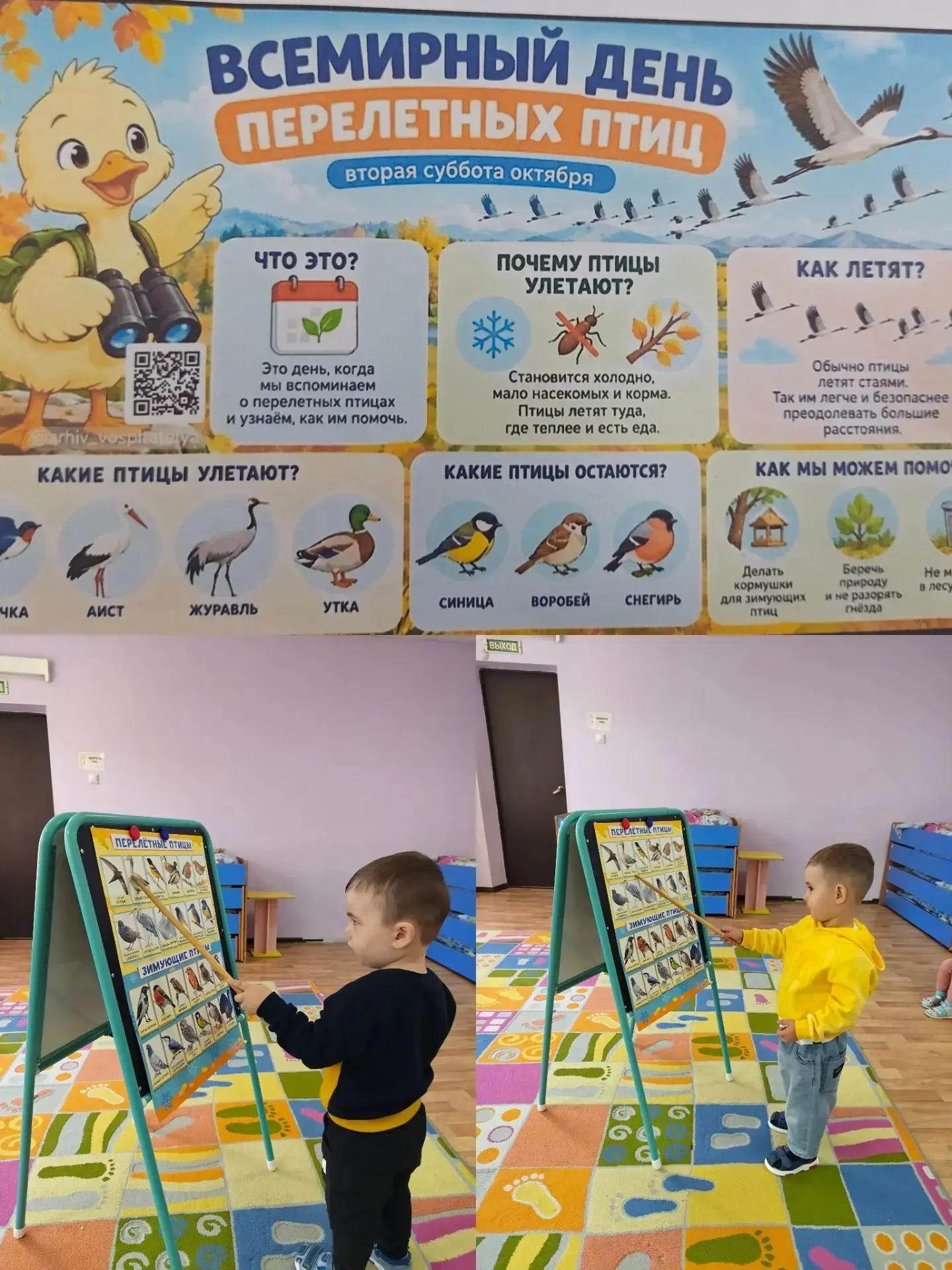 ✨✨✨ 9 октября отмечается Всемирный день перелётных птиц .