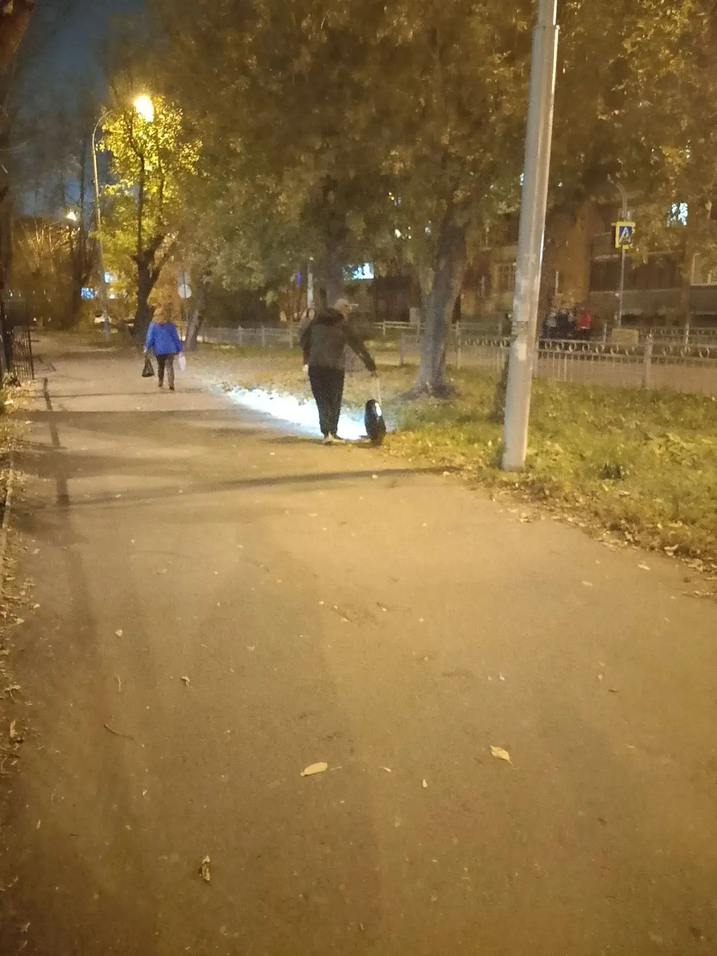Ходит у 86 школы и "что то" ищет в траве🤯