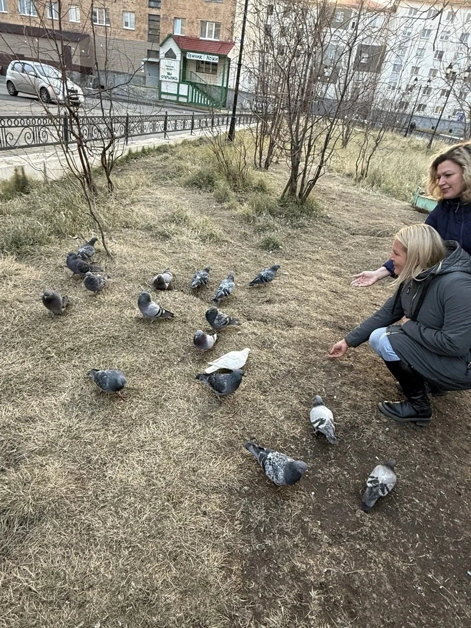 🐦 Норильский ЗАГС позвал горожан кормить птиц и напомнил, чем их нельзя угощать