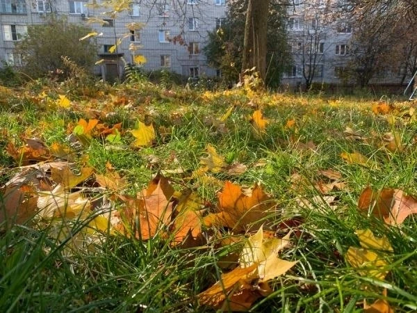 Какая погода на выходных ожидается в Курской области