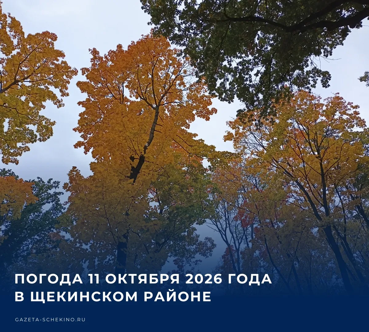 ☀️ Сегодня, 11 октября, температура воздуха днем в Щекинском районе поднимется до отмет...