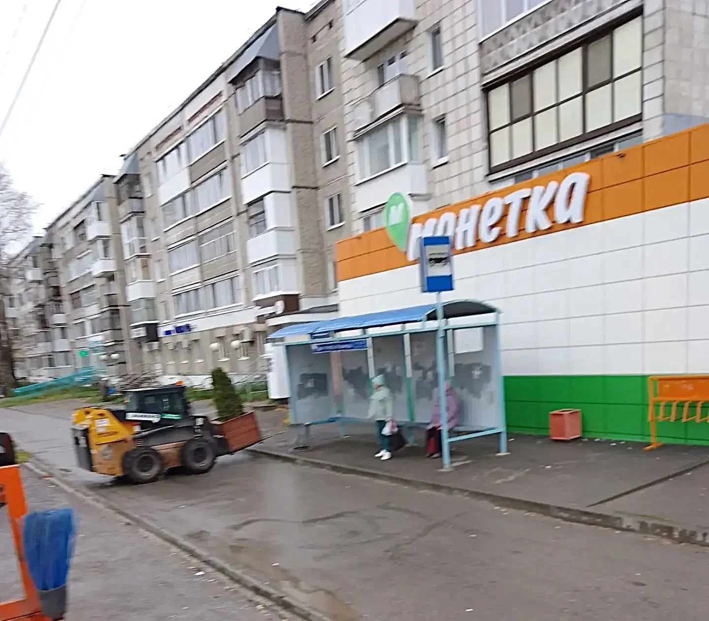 Туи из кашпо в центре Соликамска убирают на зимовку