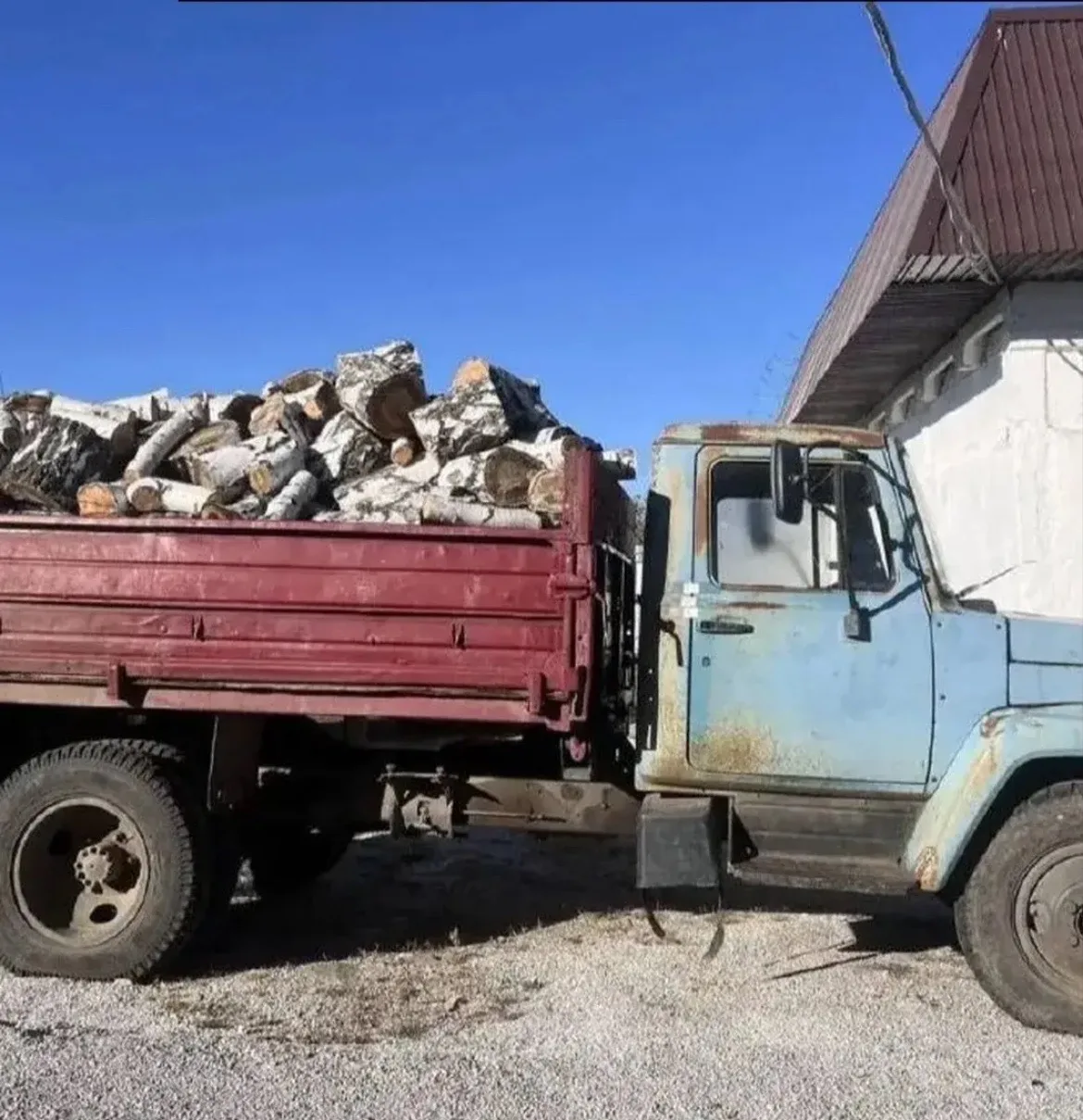 🚛 У жителя Челябинской области отобрали грузовик и пилу за вырубку берёз
