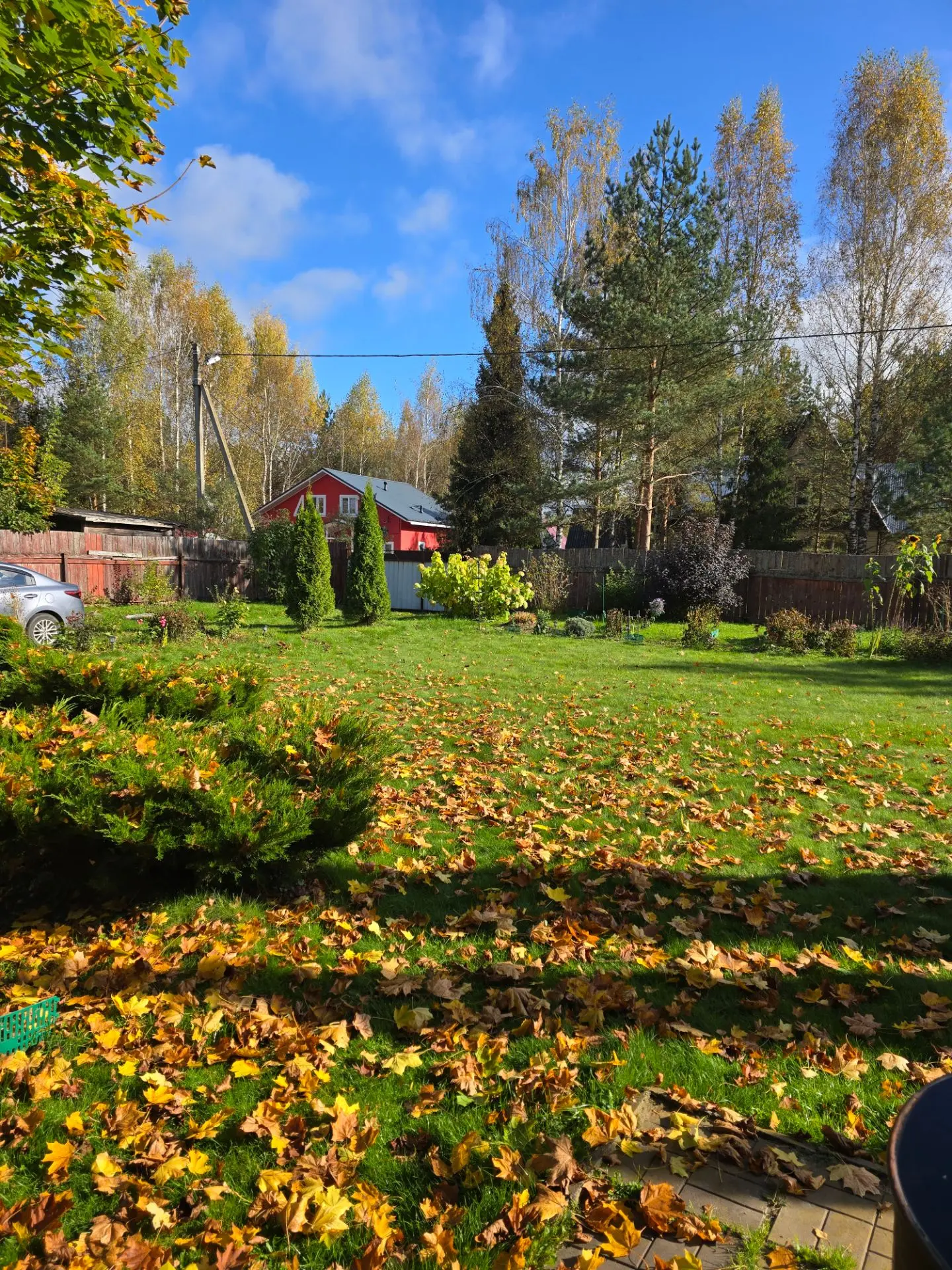 Осенняя обработка сада: когда, чем и зачем 🍂