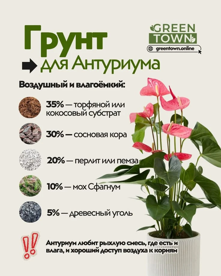 #БотаникНаДиване 🌷