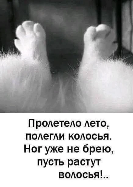 Доброе утро, дорогие! 🌼