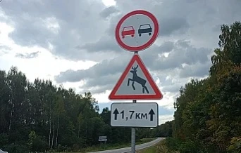 За девять месяцев 2026 года в Тульской области зафиксировано 275 наездов на животных, в...
