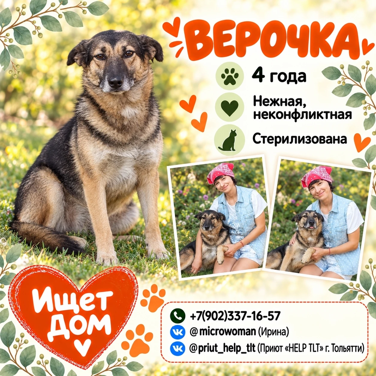🐶 Друзья, сегодня знакомим вас с Верочкой. Нежной собакой, которая теперь ходит за зна...