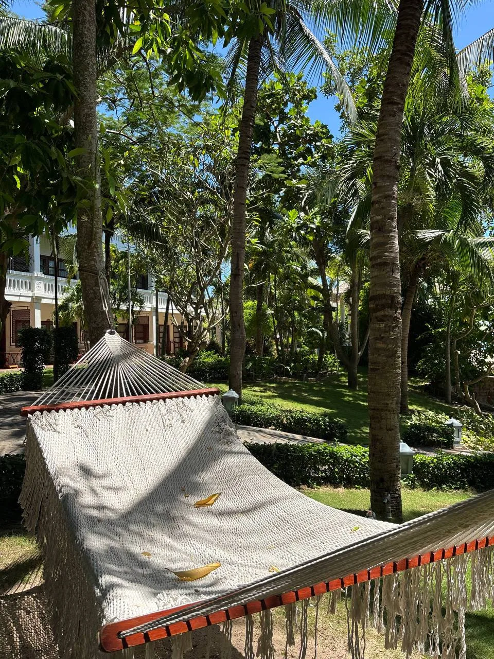 🇻🇳 Вьетнам, Муйне: отличное предложение в живописный Allezboo Resort 4*