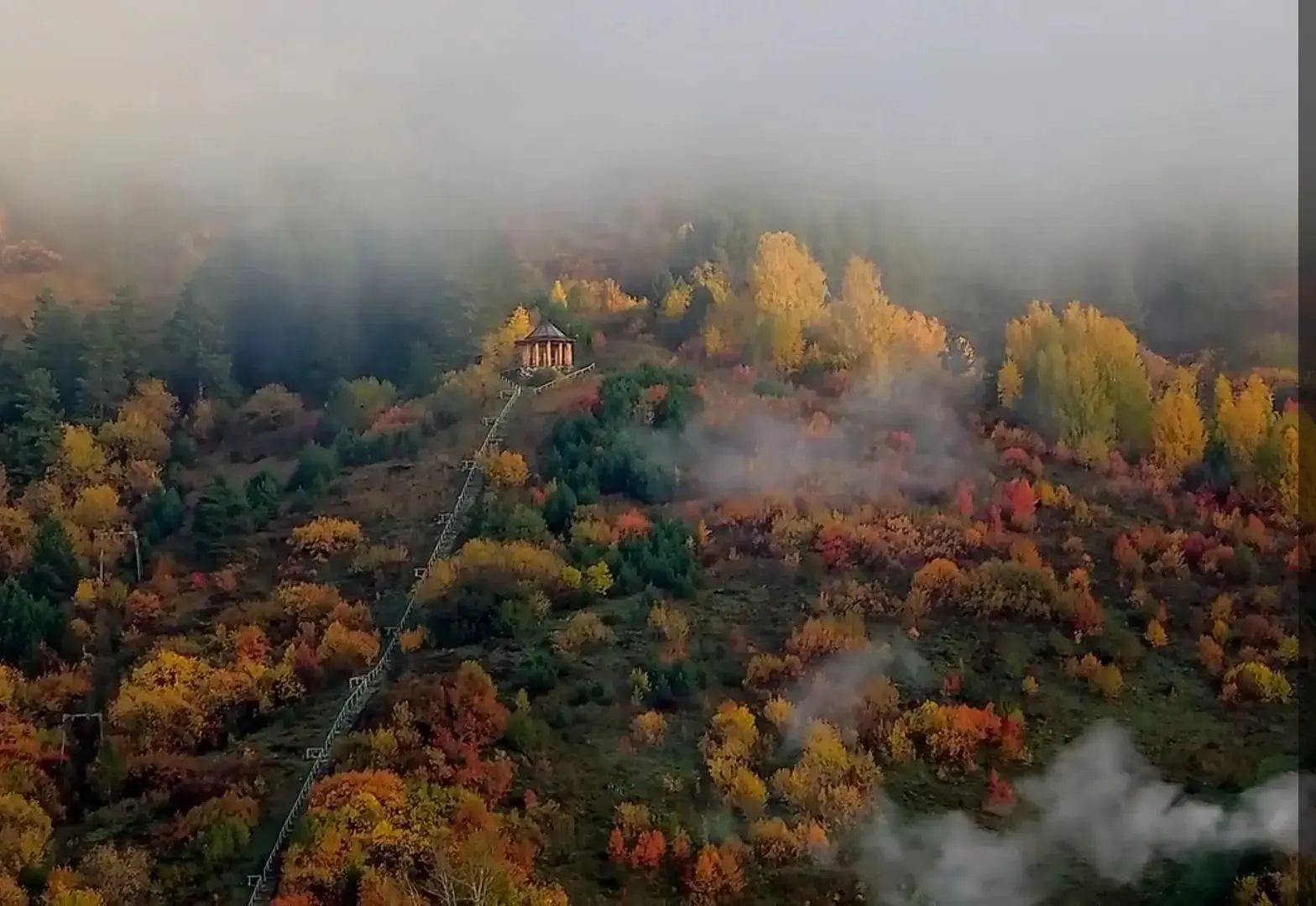 Тугая осенью 🍂