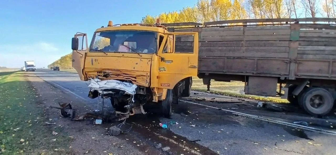 Сегодня в Заинском районе в ДТП с грузовиком погиб один человек.