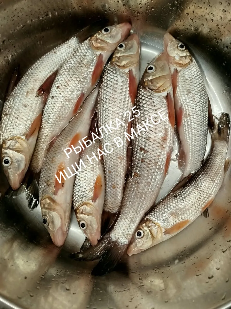 р. Уссури