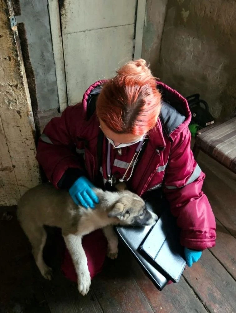Бригада скорой приехала на вызов, а попала в пушистый плен: очаровательные питомцы паци...