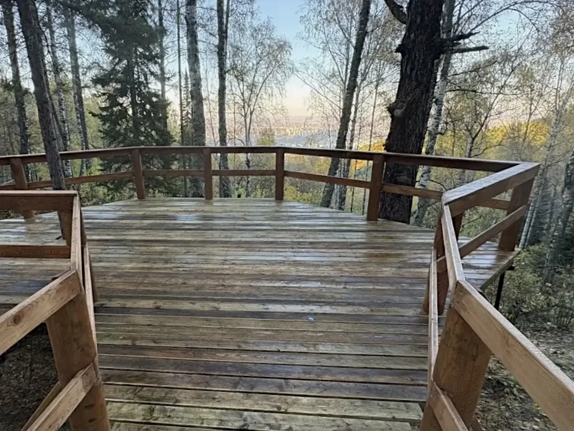 🐻🌲 Медведи скорректировали планы: на «Красноярских Столбах» благоустраивают Каштаковс...