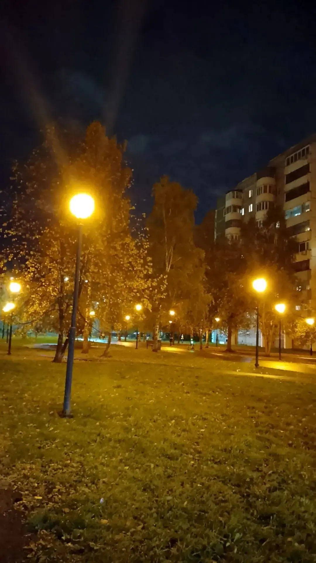 Любимая Ботаника
