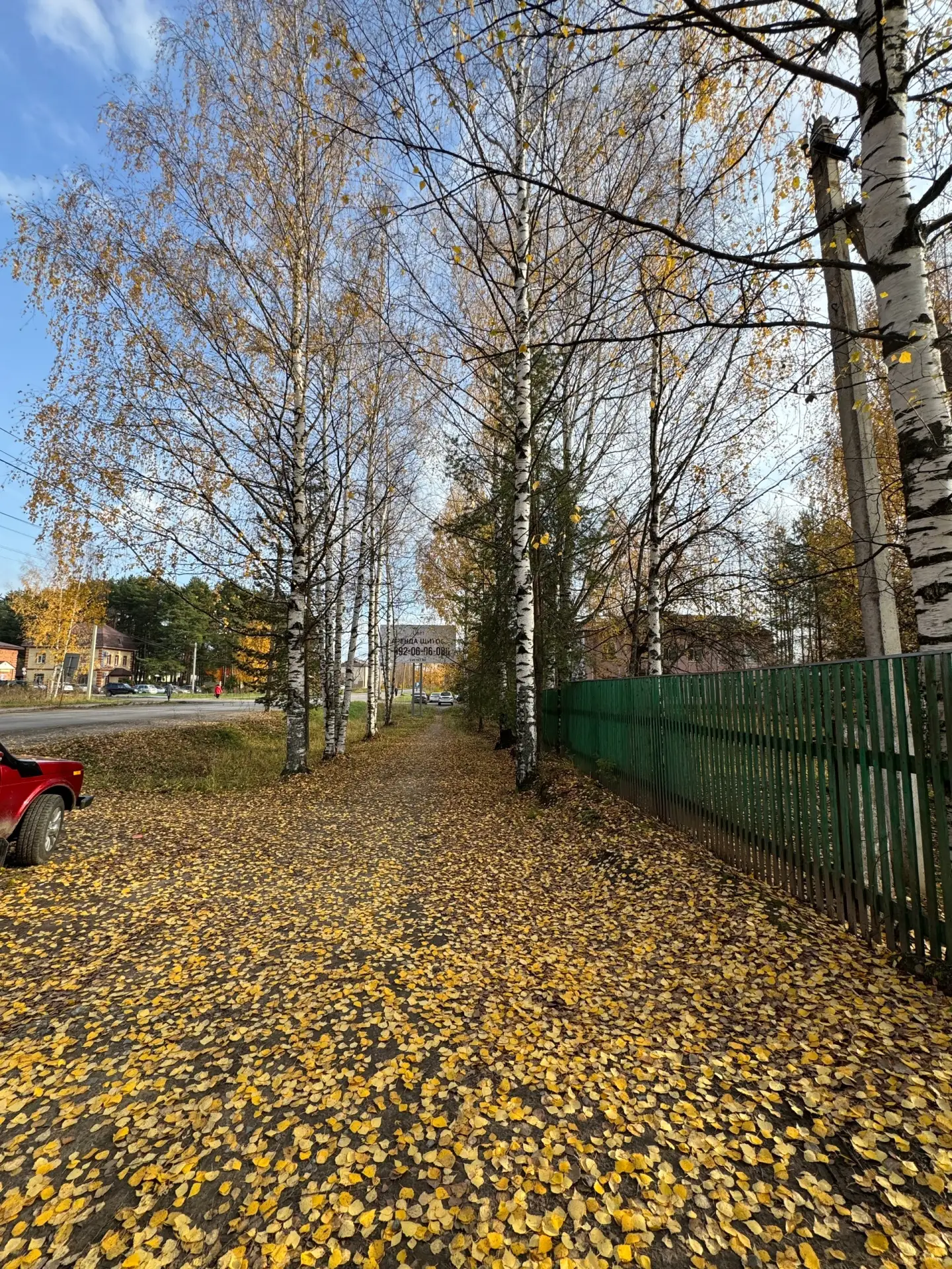 #СейчасШарья #Осень ул. 50 лет Советской Власти