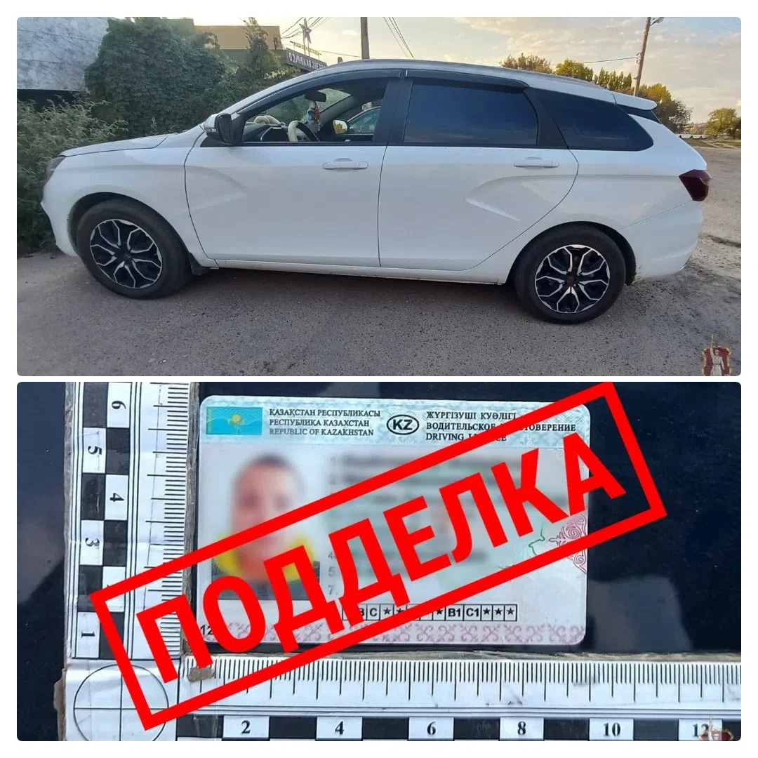 🚔Камышанку с поддельными правами поймали сотрудники ДПС