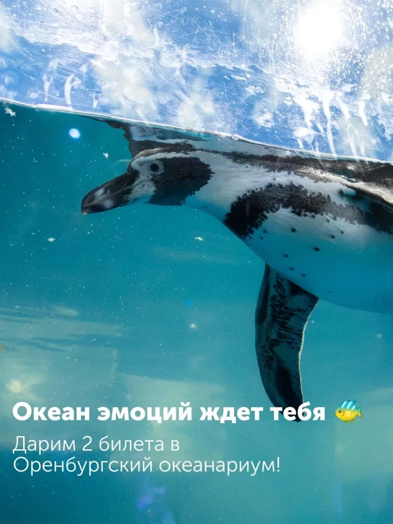 🎉 Результаты розыгрыша: