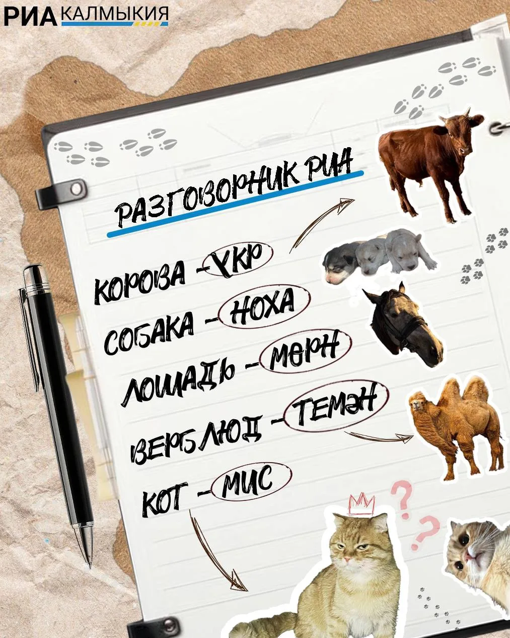 «Үкхәр бәәсн хулһн мисн сүүләр нааддг».