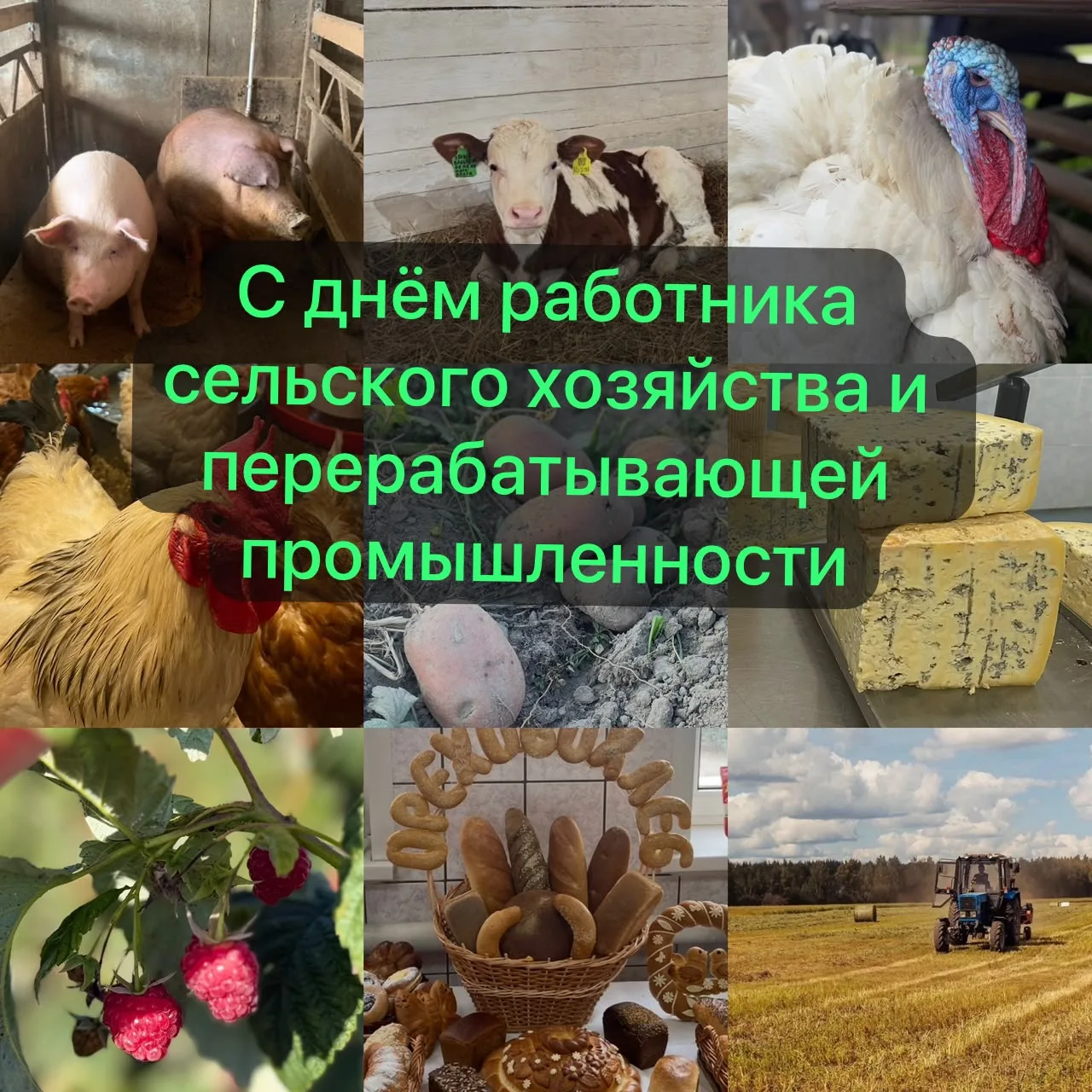 🍂 С Днём работника сельского хозяйства и перерабатывающей промышленности!