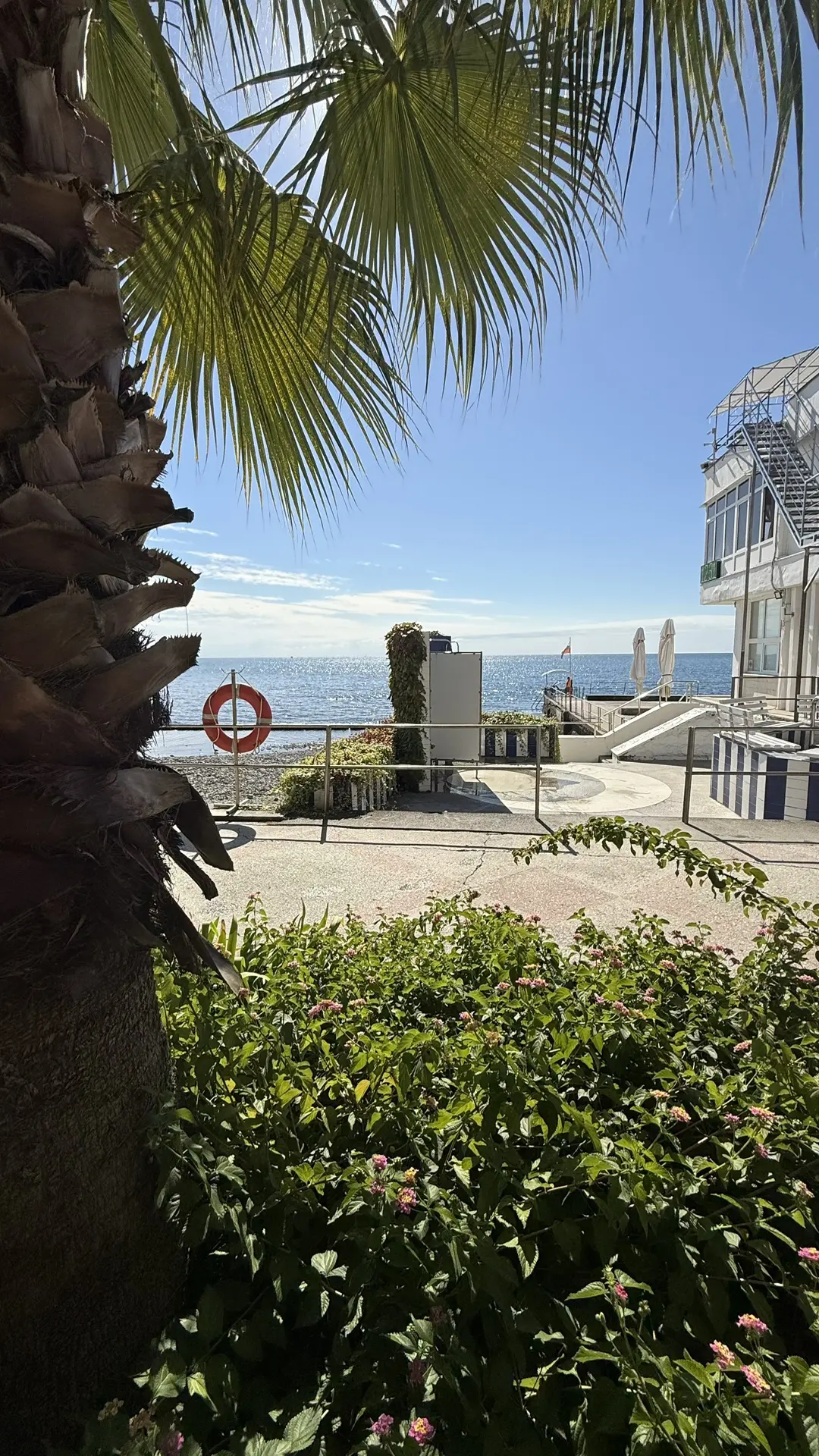 ☀️🌊🌴
