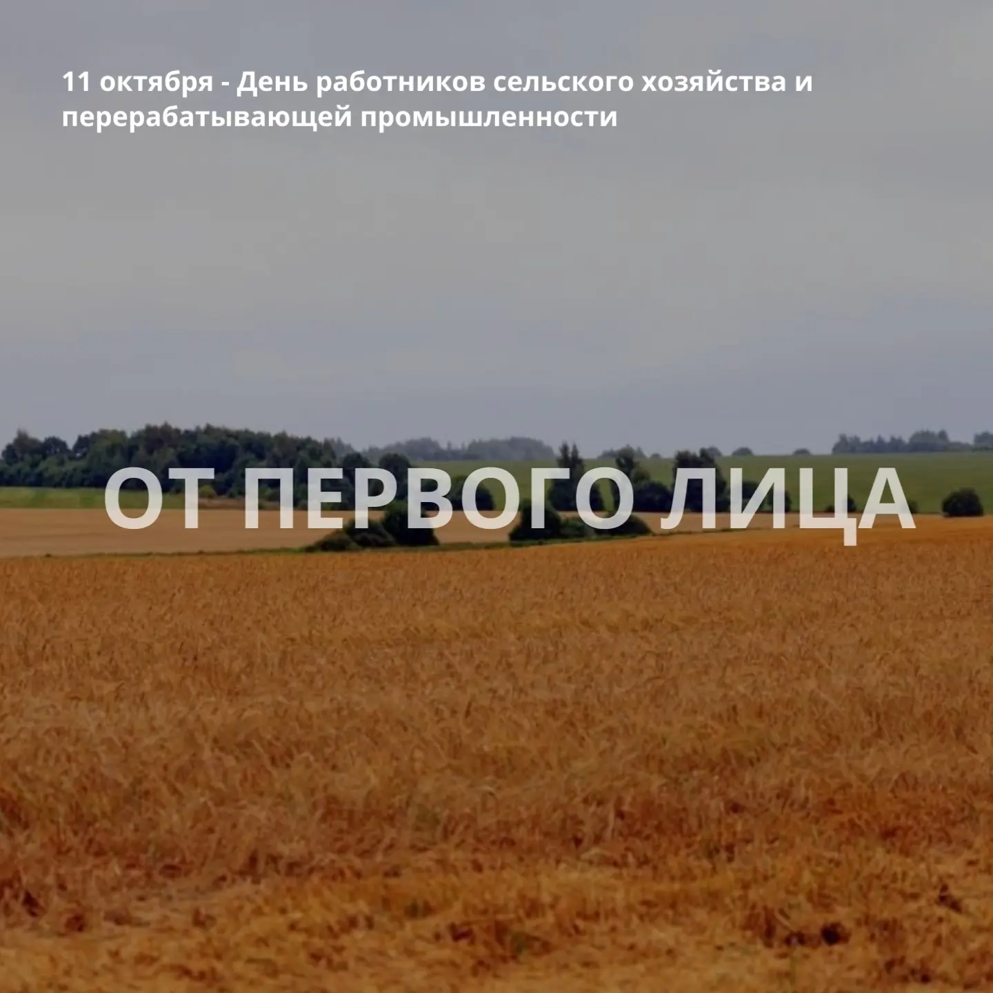 🚜Сегодня в России отмечается День работников сельского хозяйства и перерабатывающей пр...