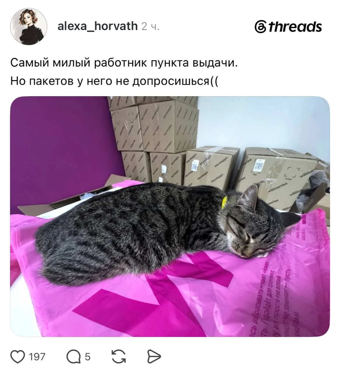 Главный кандидат на звание сотрудника года в этом ПВЗ.