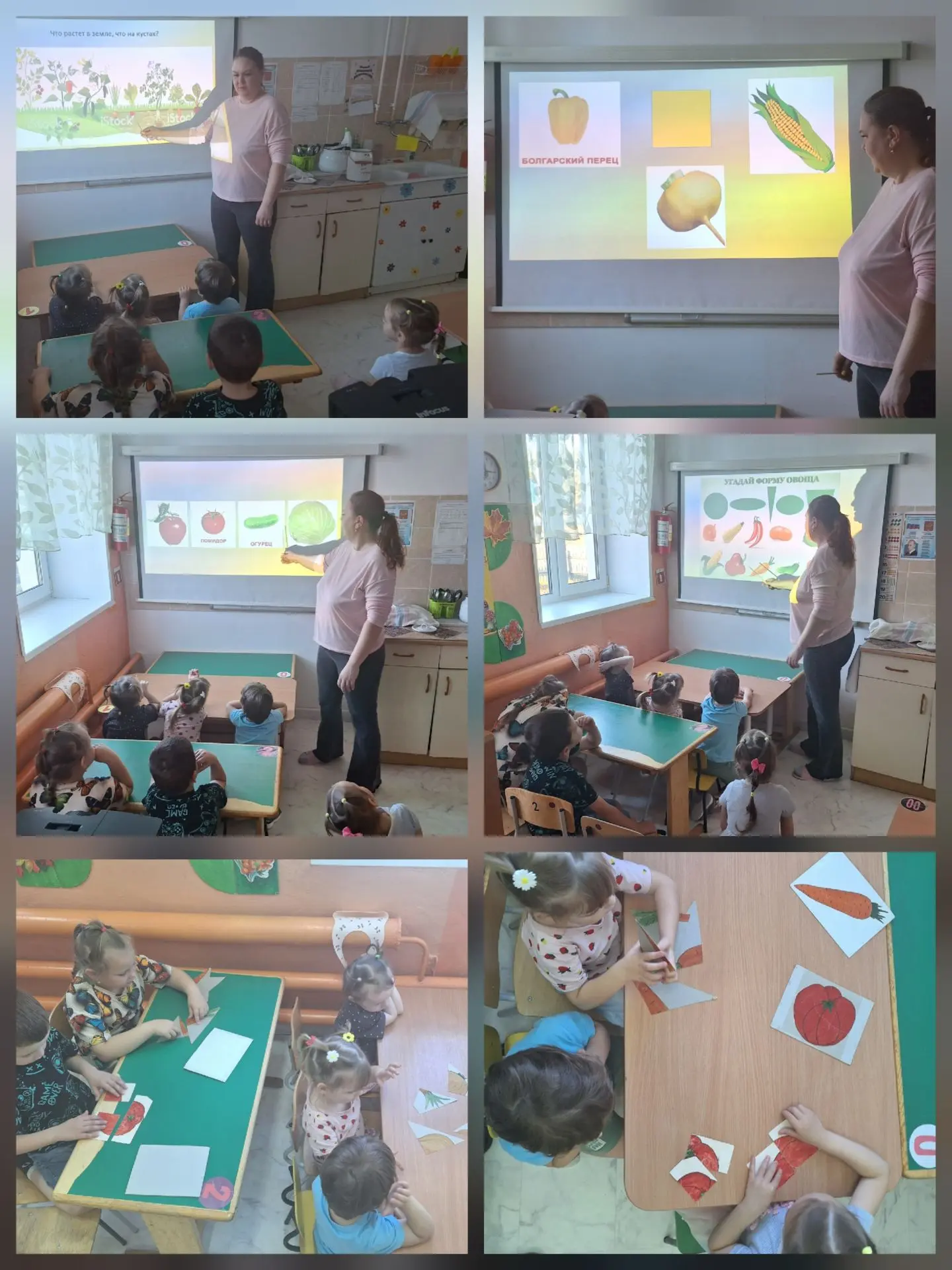 Сегодня в детском саду говорили про овощи! 🫑🥕🍅