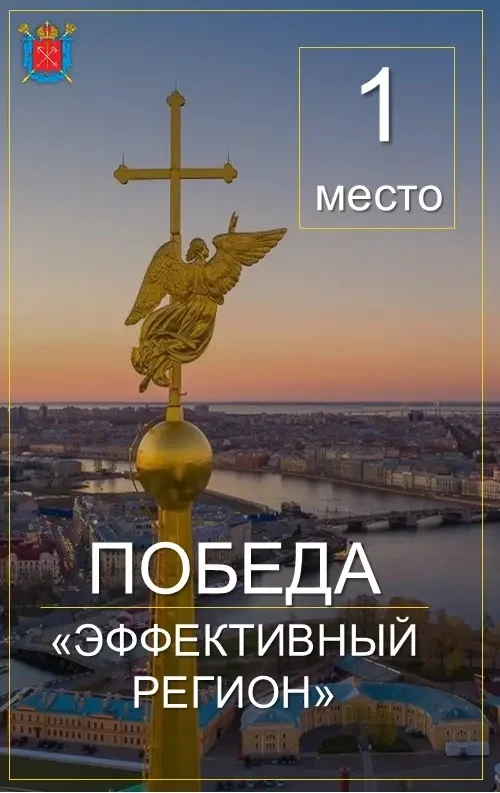 Проект администрации Петроградского района «Оптимизация процесса оказания мер социально...