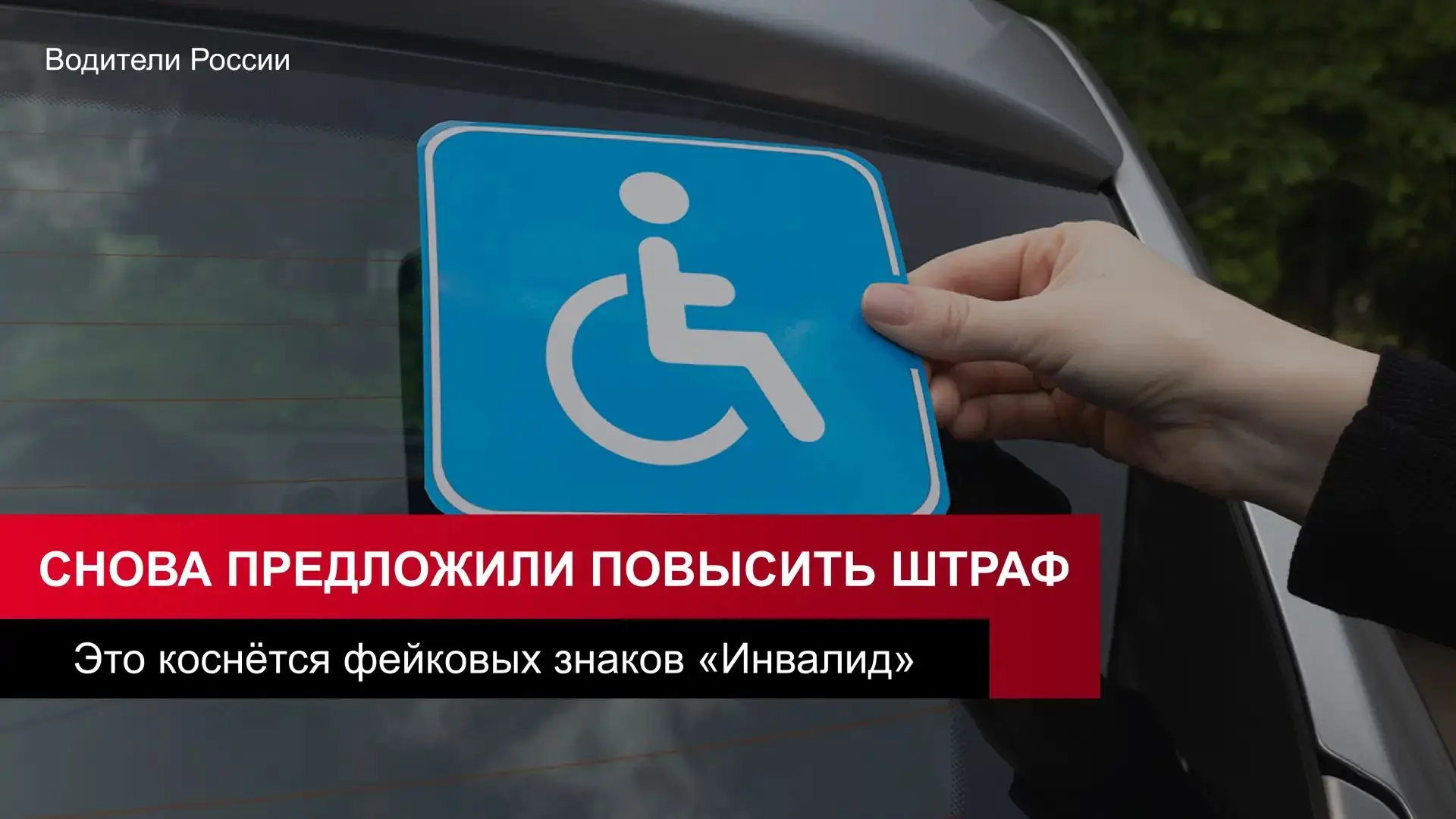 В России снова предложили повысить штрафы за фейковые знаки «Инвалид»