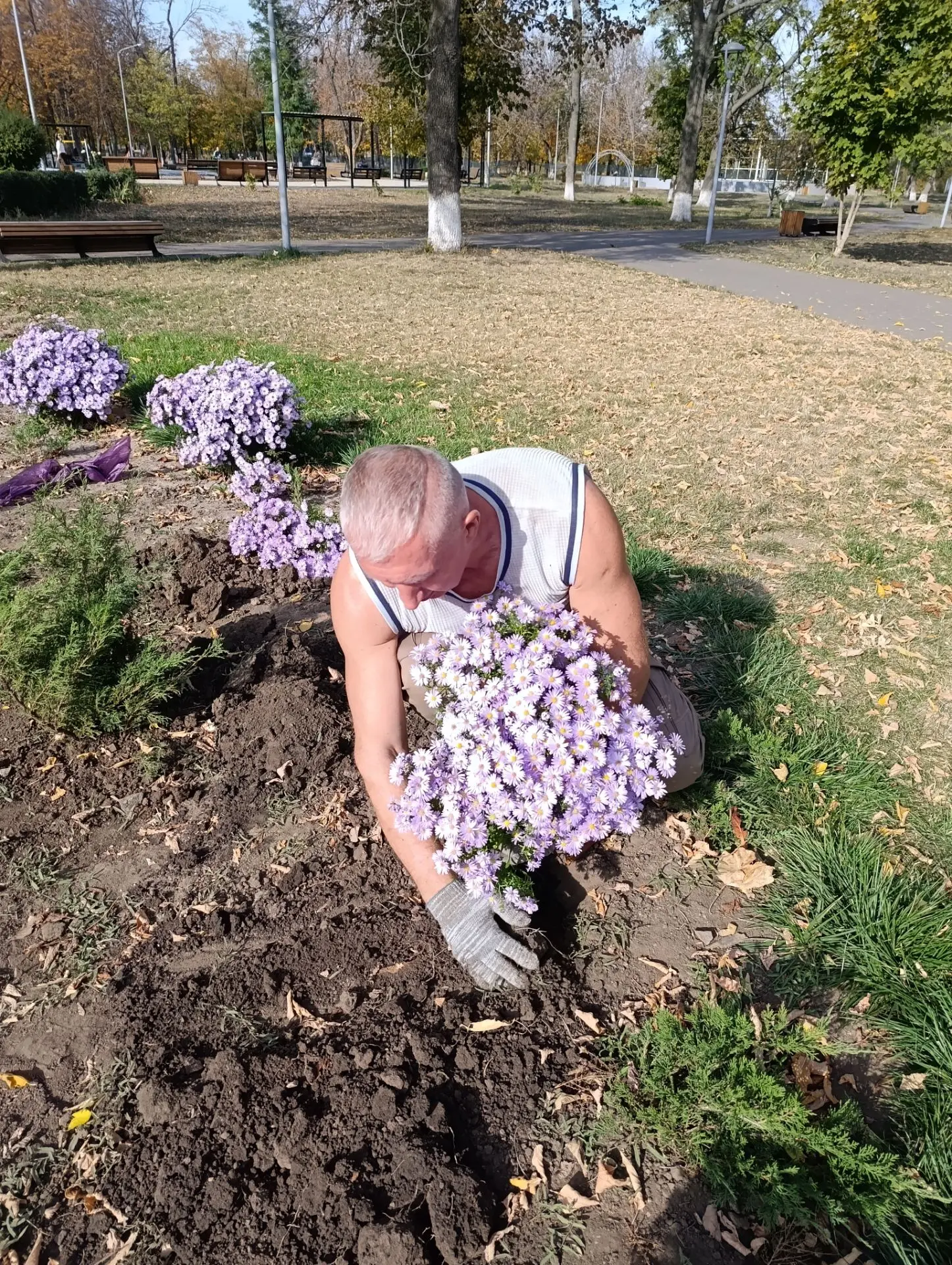 🌸 Октябрь  активно вступает  в свои права, но в парке культуры и отдыха им. «Молодой г...