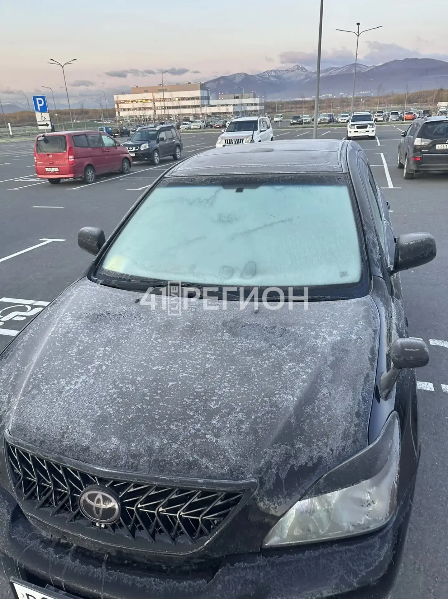 А вот и первые заморозки ❄️