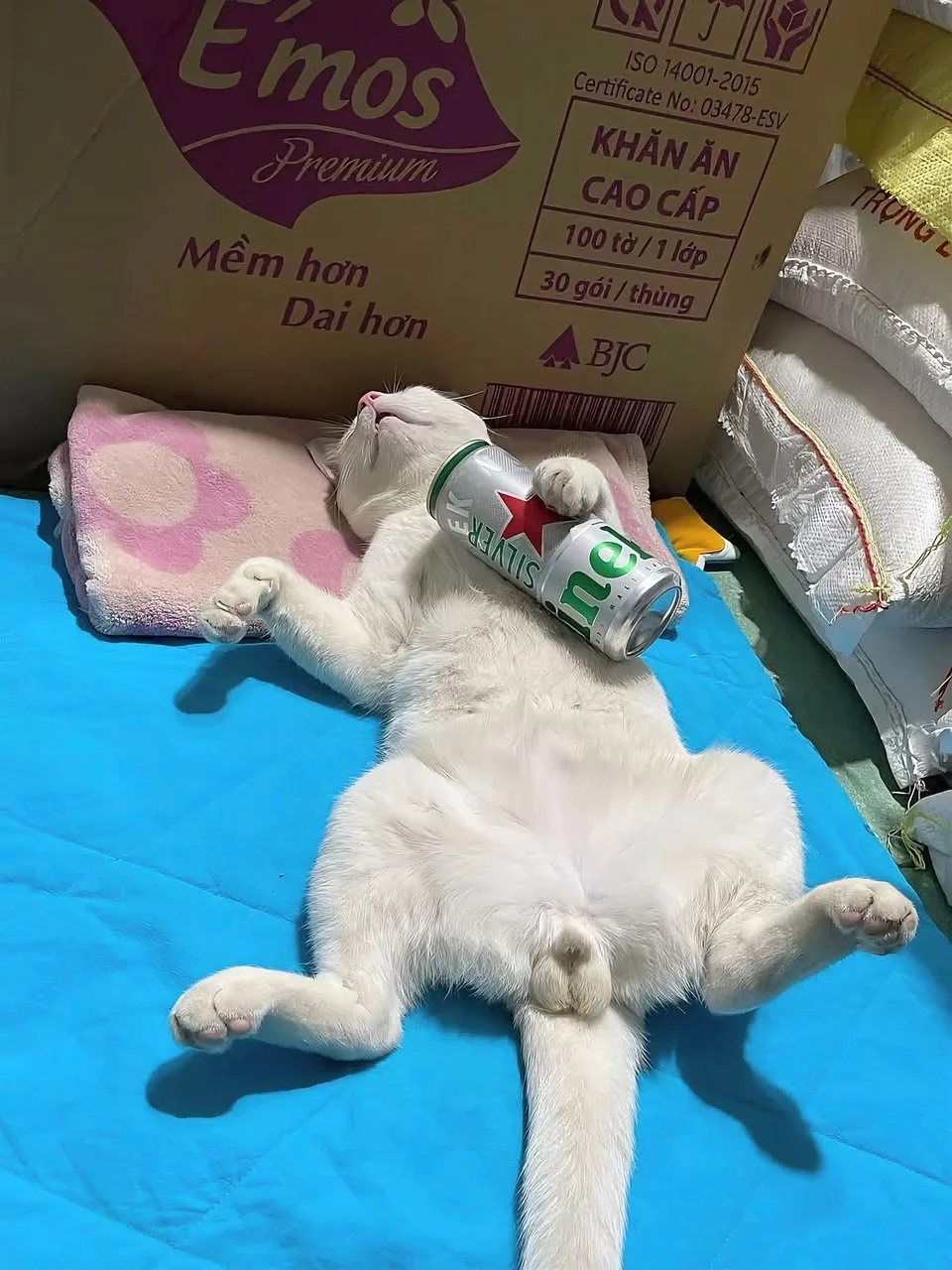 Планы на выходные только такие