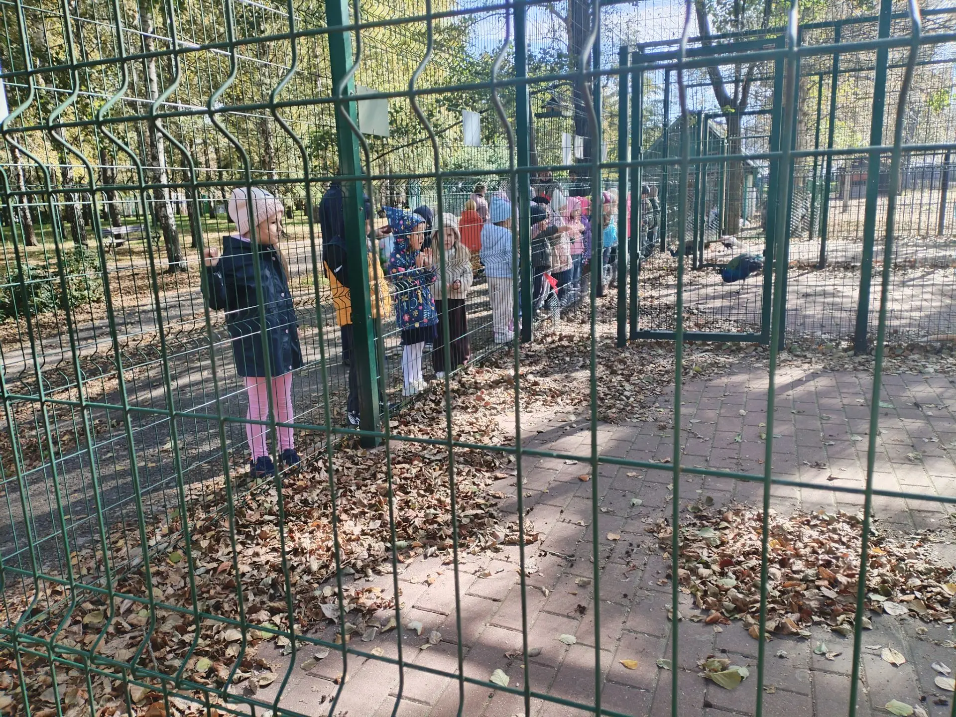Наконец-то в наш парк пришла золотая осень! 🍂🍁🍂 Сейчас у нас в парке очень приятно п...