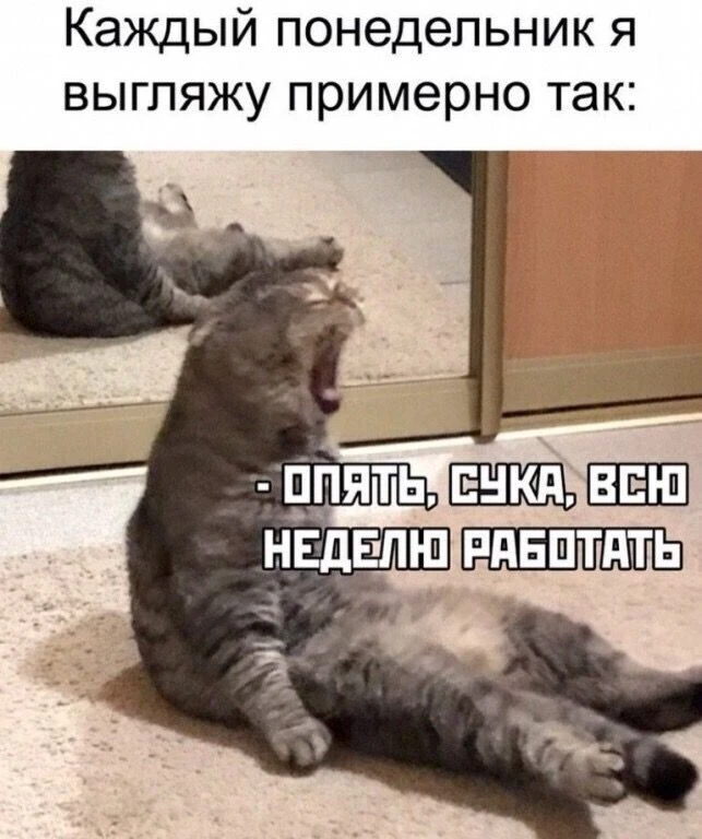 Подпишись, чтобы не потерять👇
