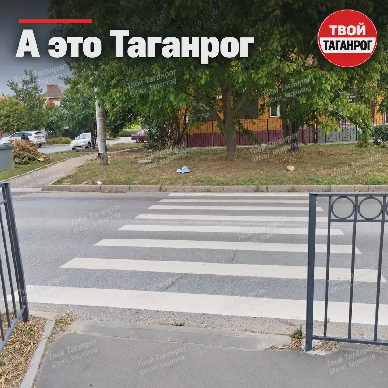 Переход у школы № 23 упирается в дерево