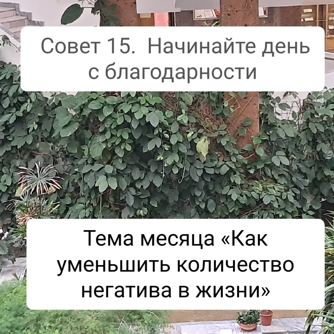 Совет 15.  Начинайте день с благодарности