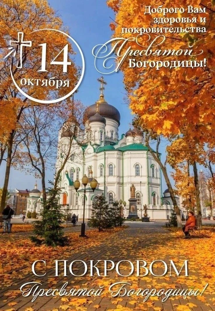 Оставьте реакцию — это как тёплый привет! 💖Поделитесь открыткой — подарите кусочек сча...