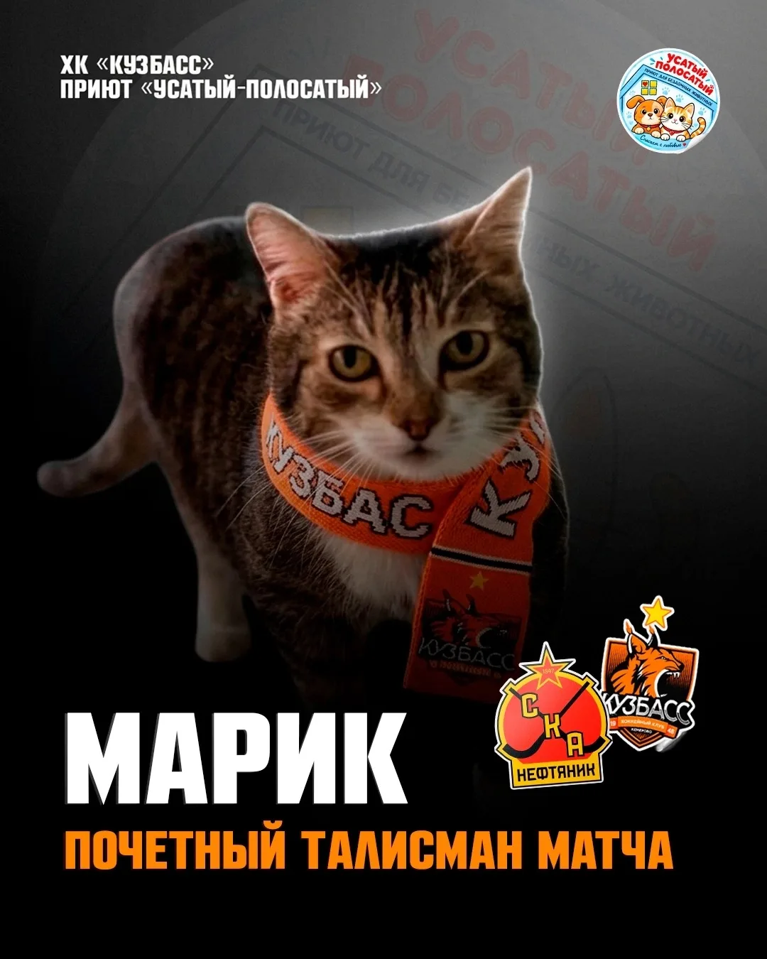 🐾 Почётный пушистый талисман сегодняшнего матча — котик Марик! 🧡