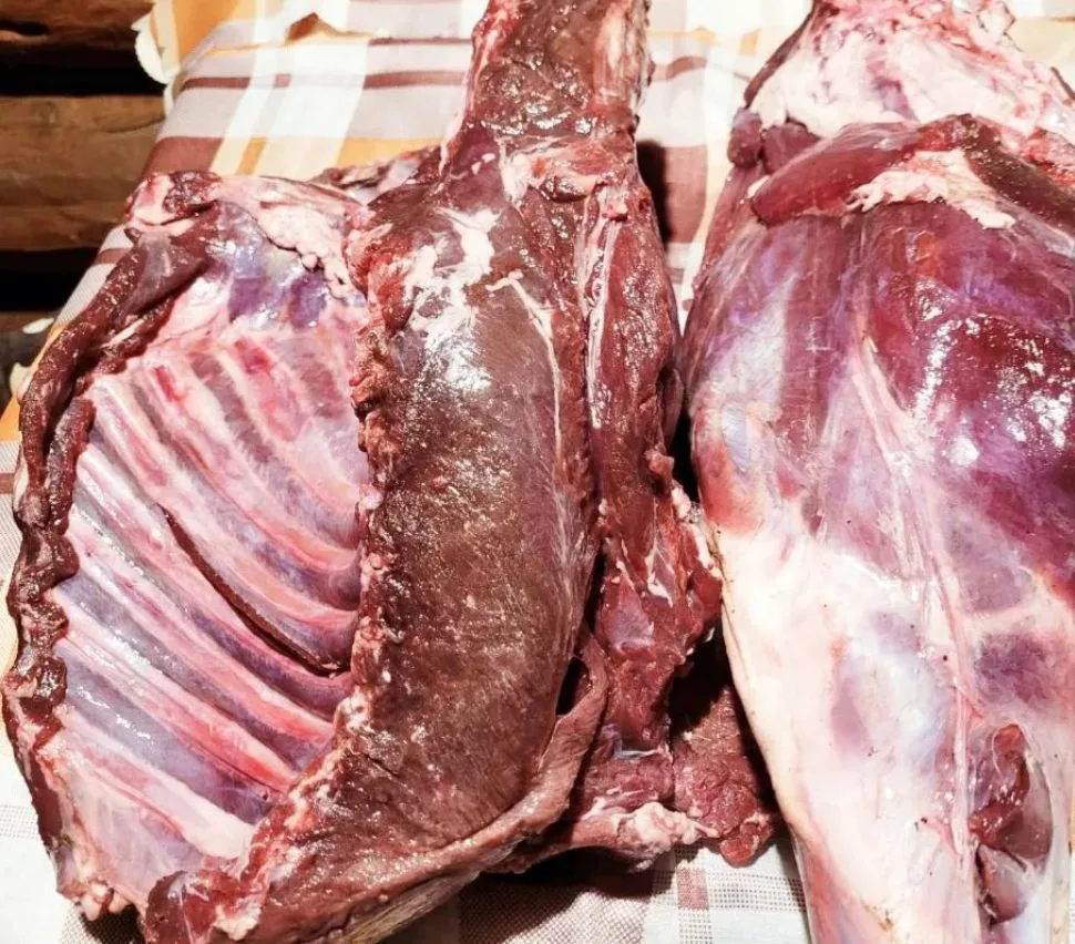 Продам дикое мясо косули, тушами (вес примерно 20 кг). Цена 700 руб./кг. Возможна доста...