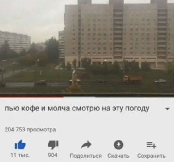 Мы?