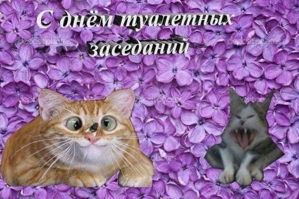 СТРЕЛЕЦ, 10 октября. Засядешь в туалете