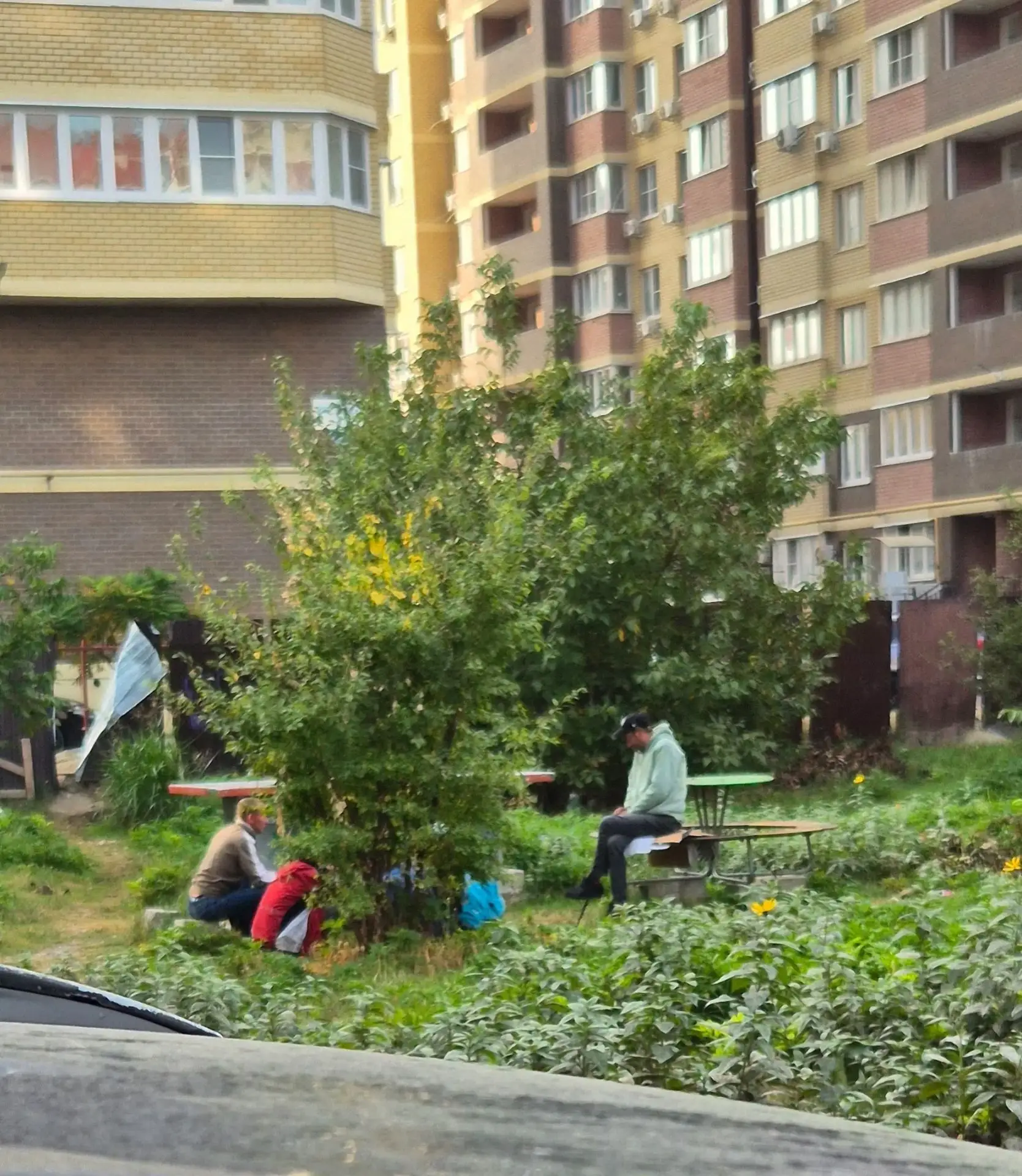 Заброшка вместо обещанного порядка: дети играют среди опасности, во дворе пьют и дерутся