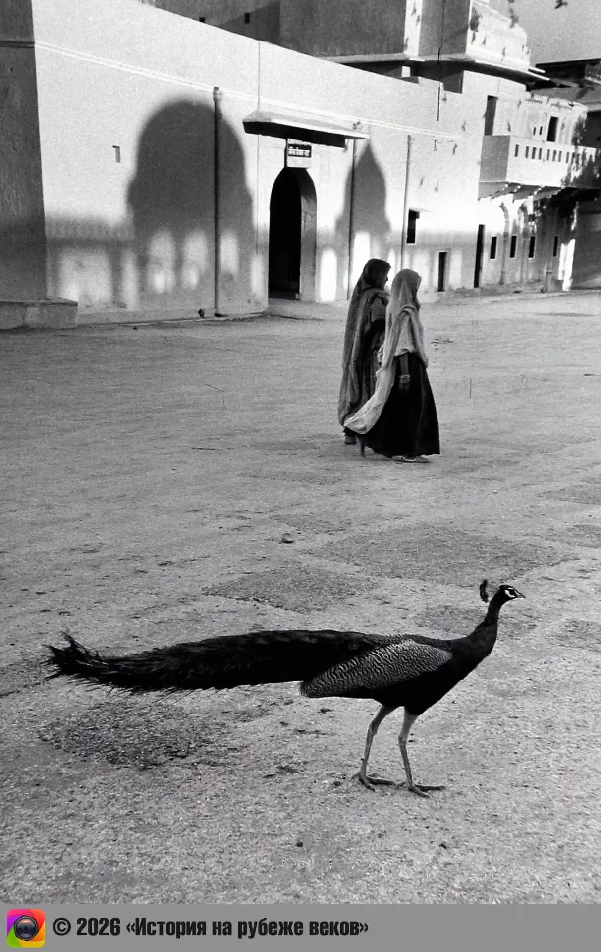Индия, 1956 год