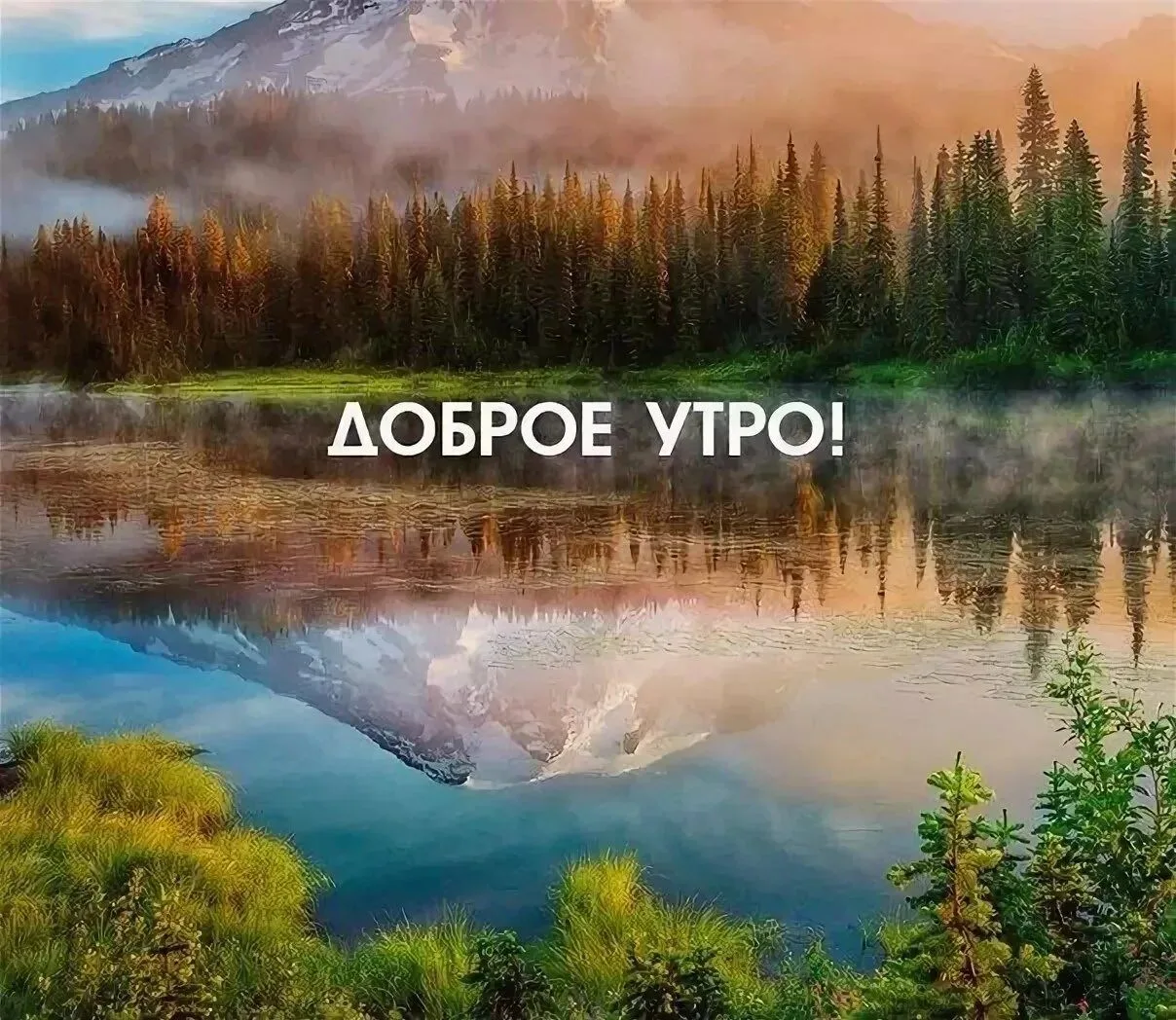 🌿Желаем доброго утра!