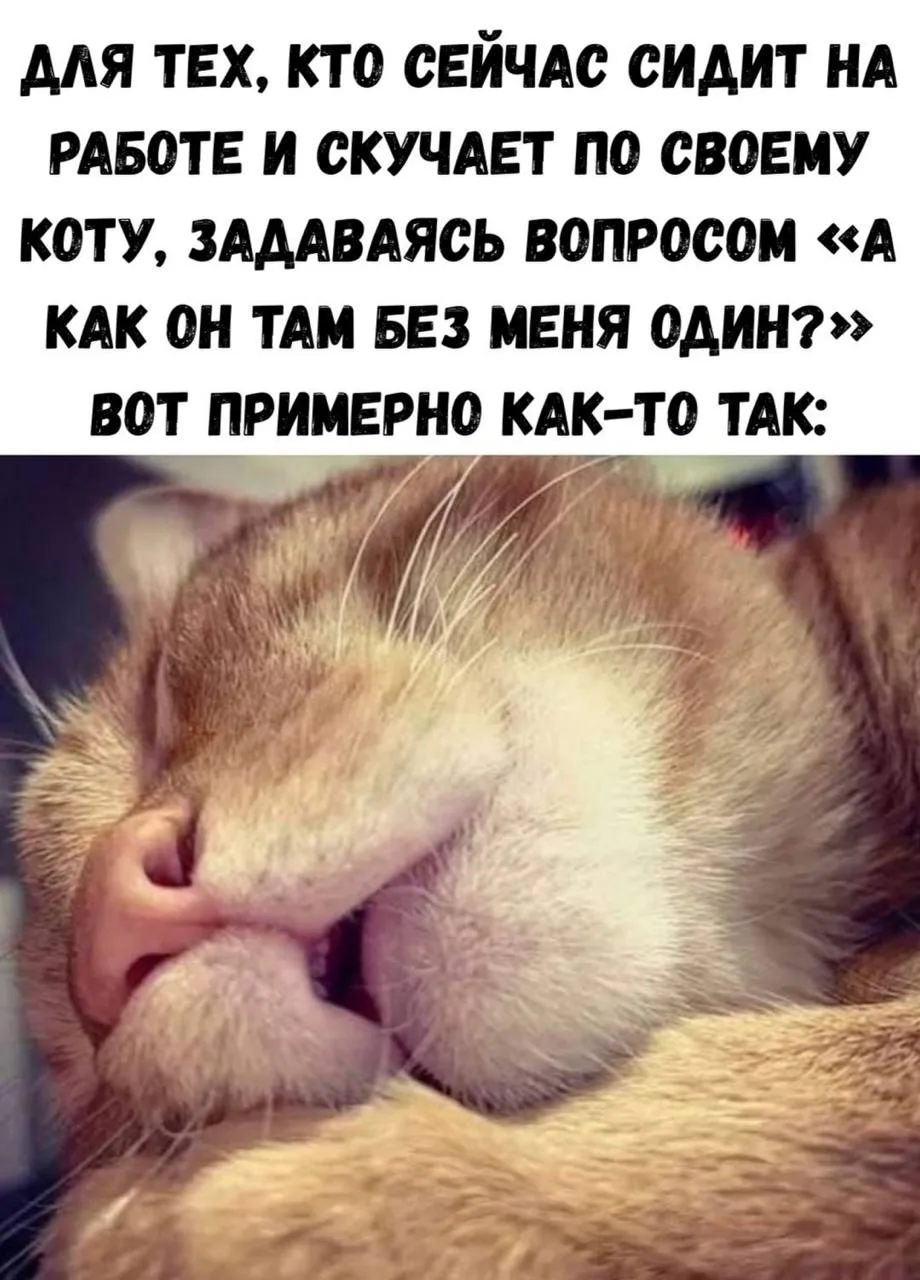 Я была НАВЕСЕЛЕ 🦋