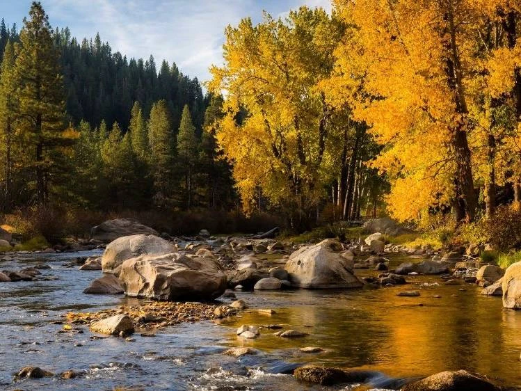 🍂 С добрым утром