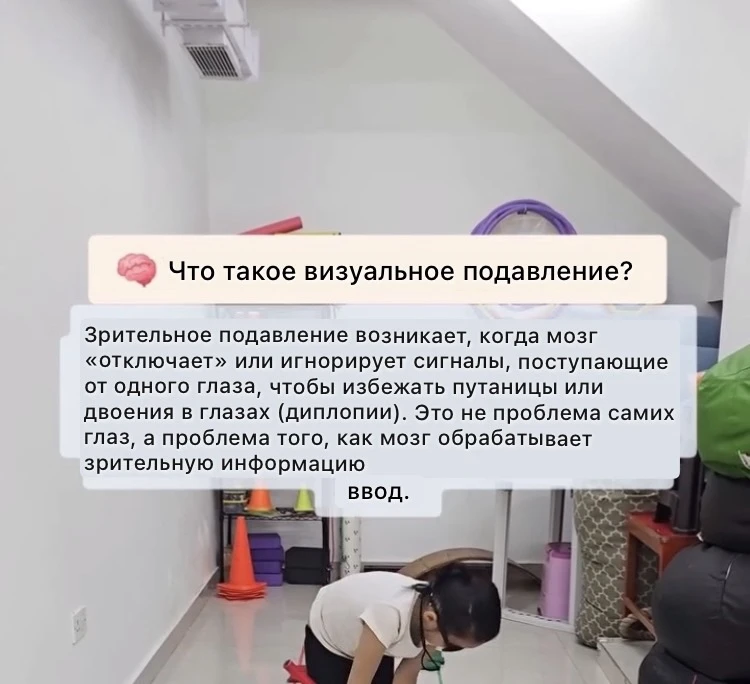 Визуальное подавление и специализация полушарий мозга.