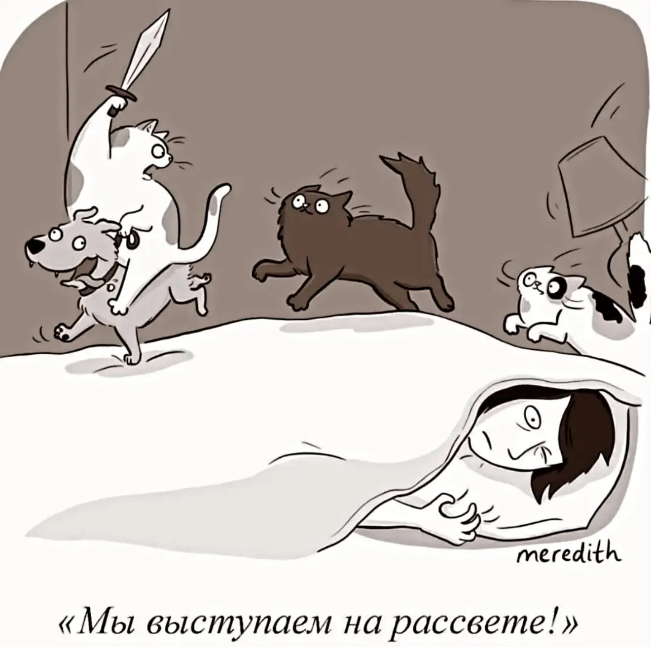 Девчата - Подписаться