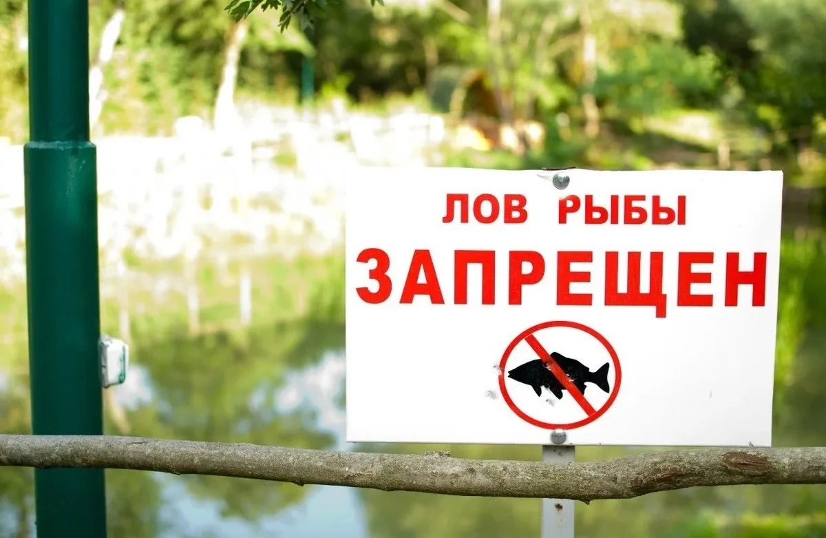 В Печорском районе поймали браконьеров на Псковском озере